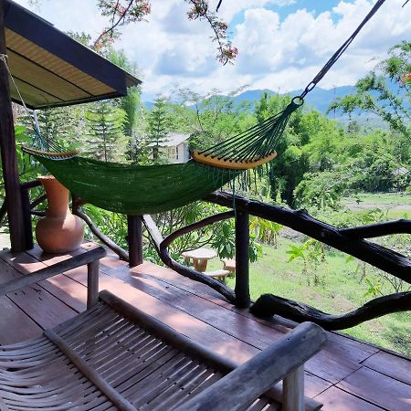 Chang Pai Garden Bagian luar foto