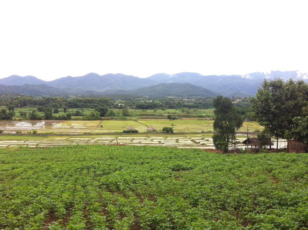Chang Pai Garden Bagian luar foto