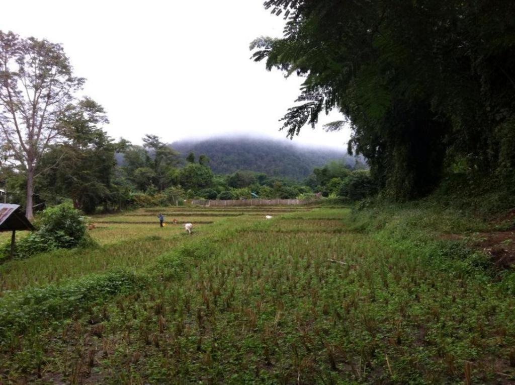 Chang Pai Garden Bagian luar foto