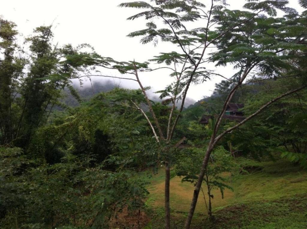 Chang Pai Garden Bagian luar foto