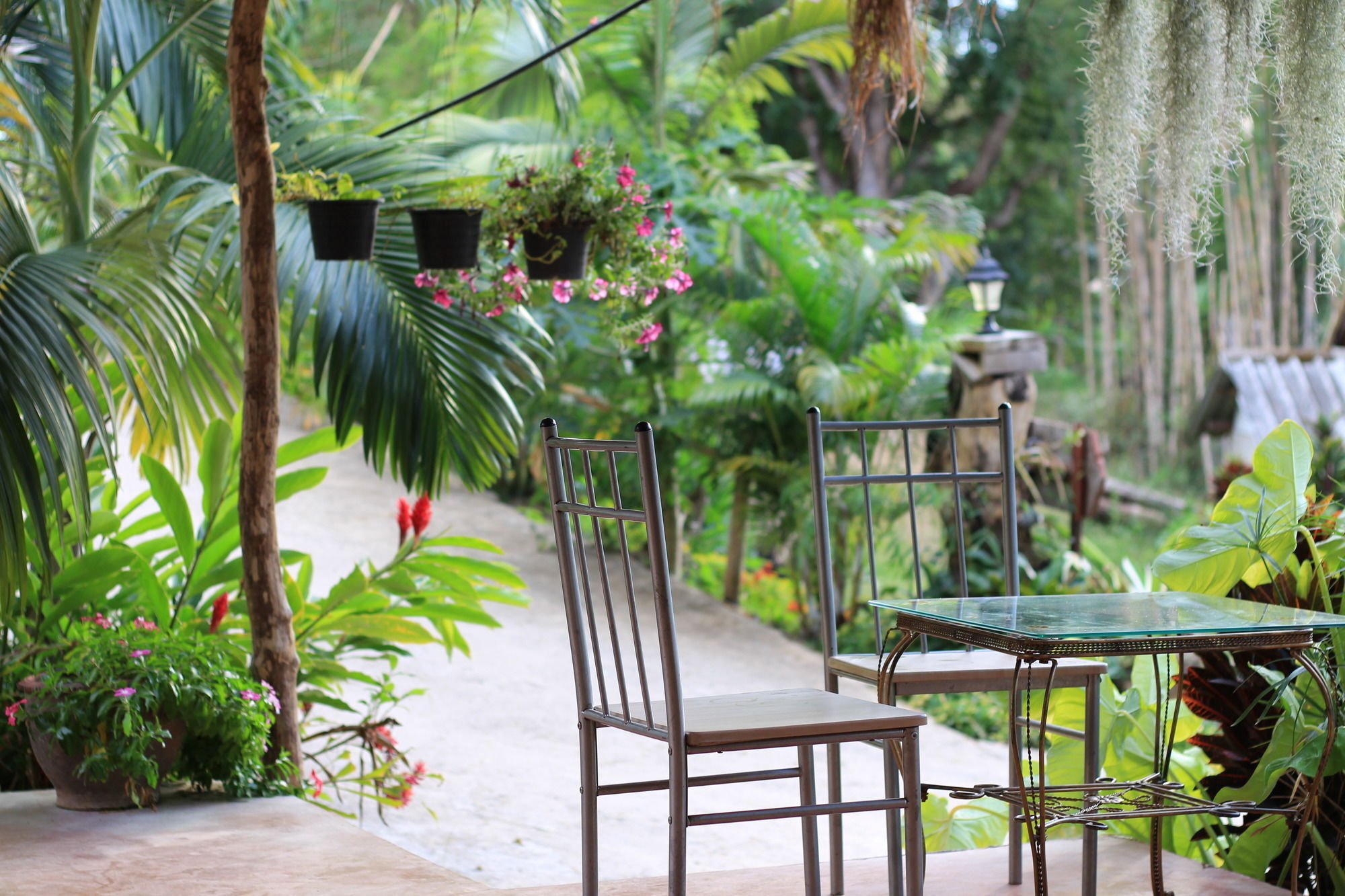 Chang Pai Garden Bagian luar foto